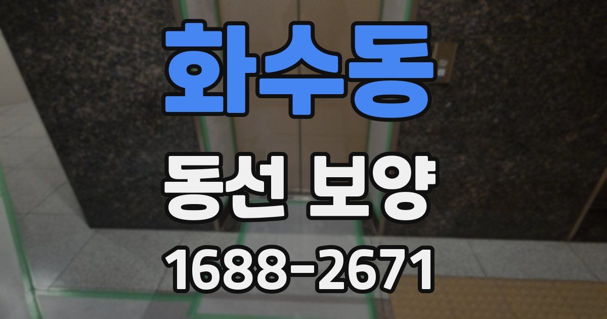 화수동 동선 보양