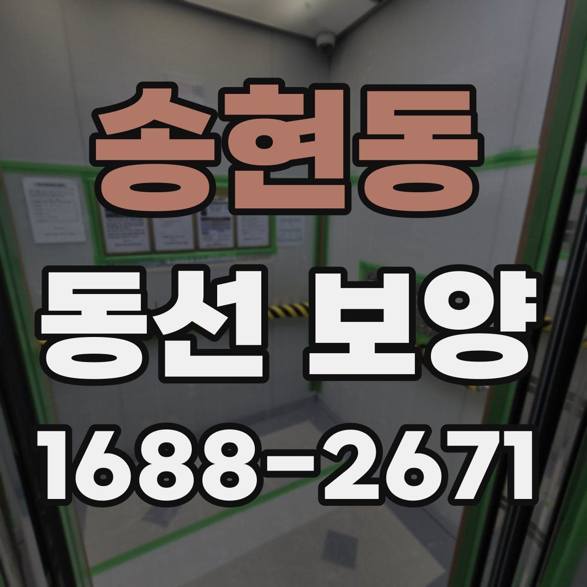 송현동 동선 보양