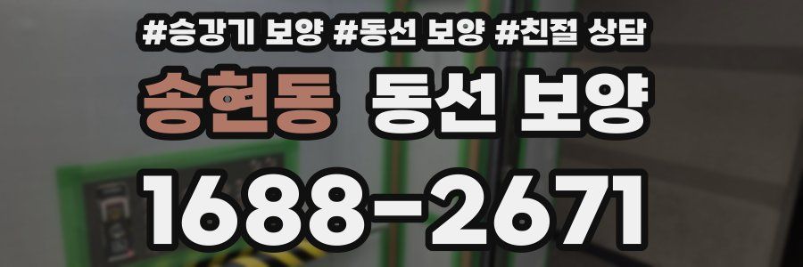 송현동 동선 보양