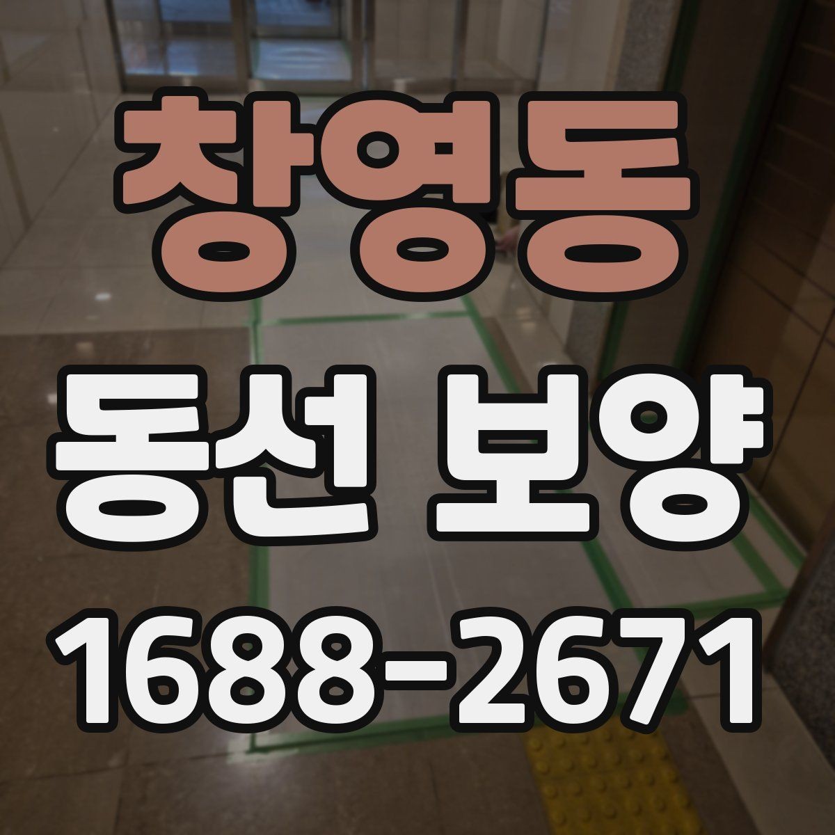 창영동 동선 보양 과정별 역할과 확인 포인트