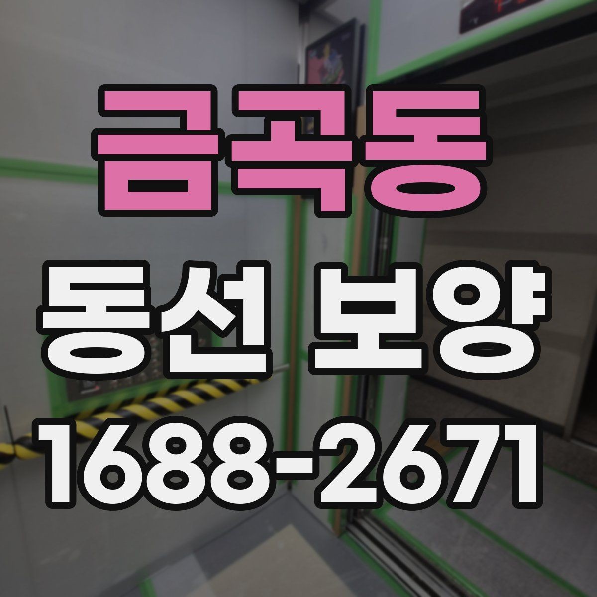 금곡동 동선 보양 재료별 특징과 적용 상황