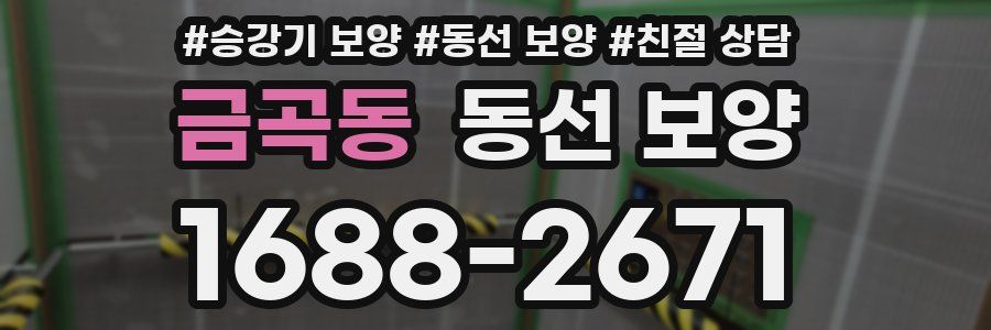 금곡동 동선 보양