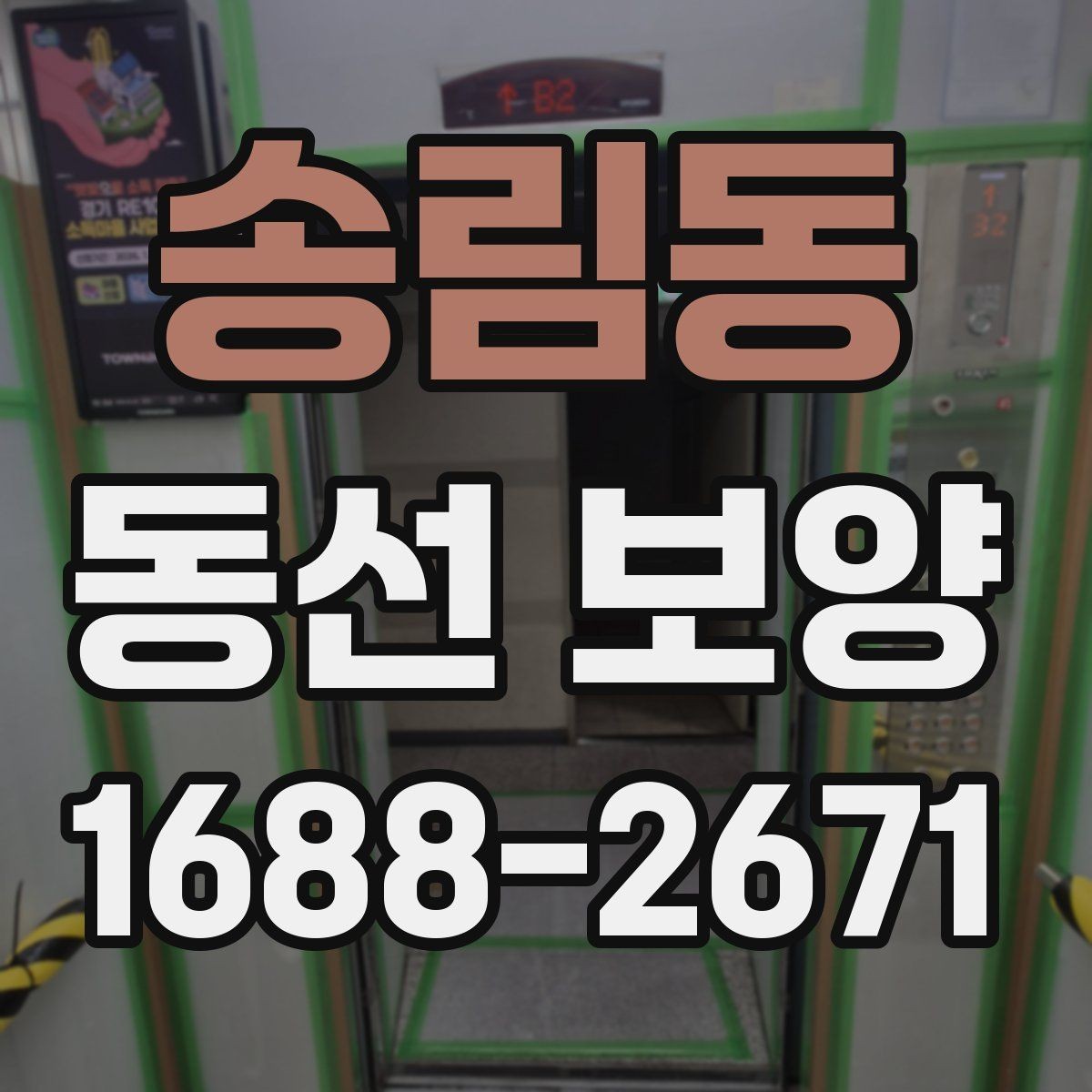 송림동 동선 보양 작업 전후 비교로 보는 변화