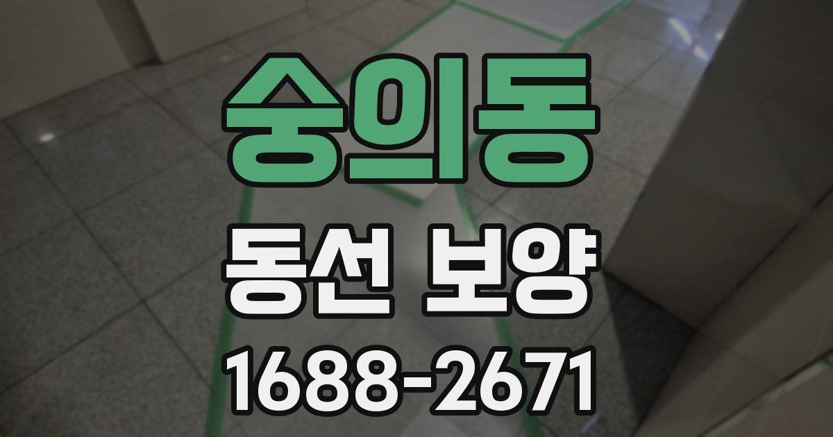숭의동 동선 보양