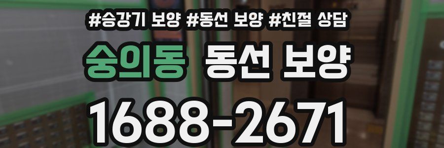 숭의동 동선 보양