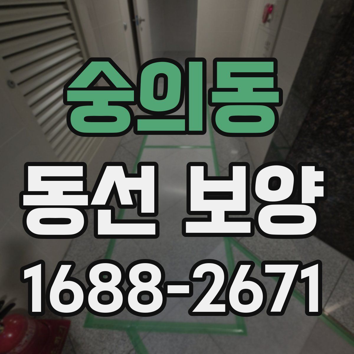 숭의동 동선 보양