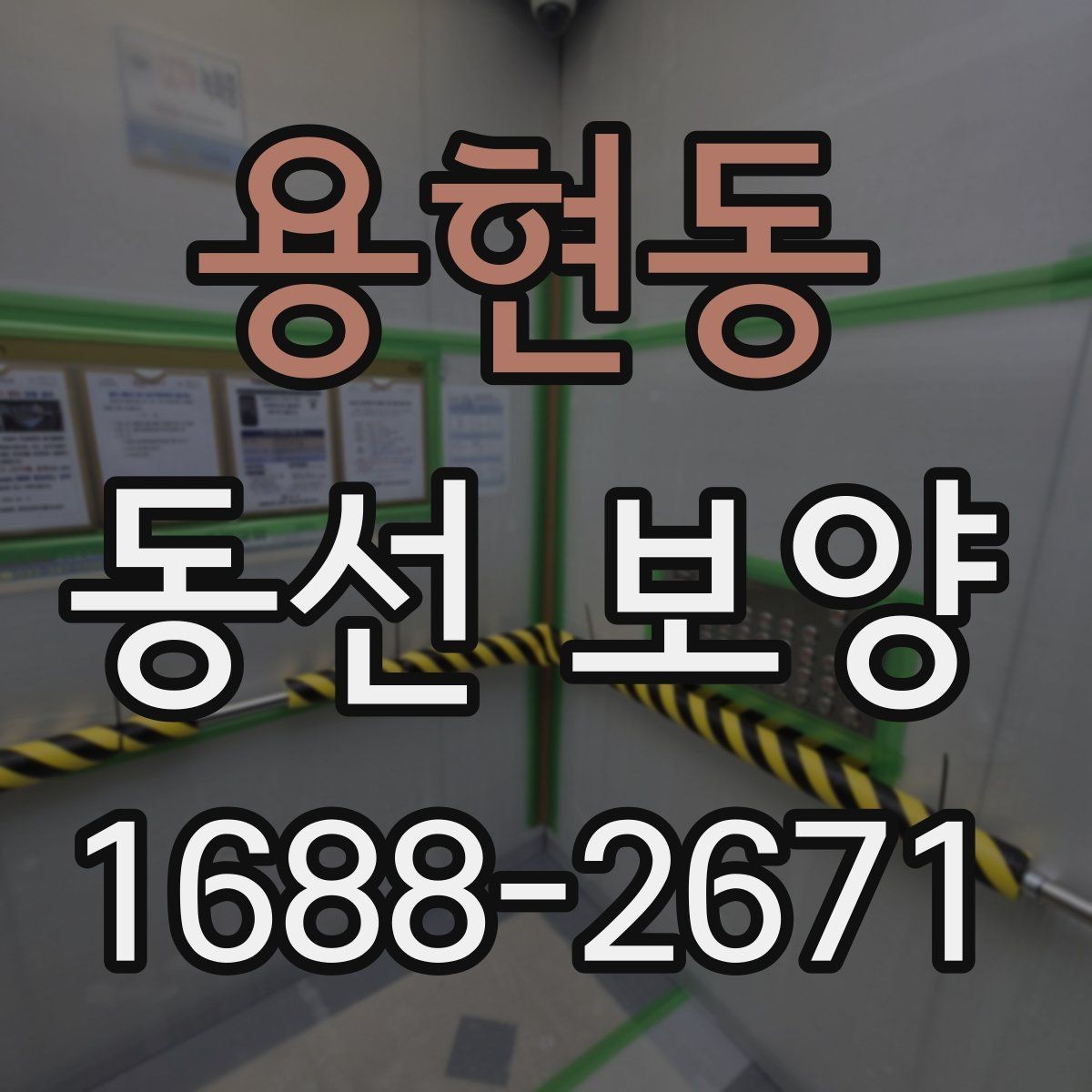 용현동 동선 보양 작업의 완성도를 높이는 관리법