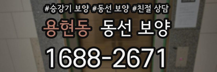 용현동 동선 보양