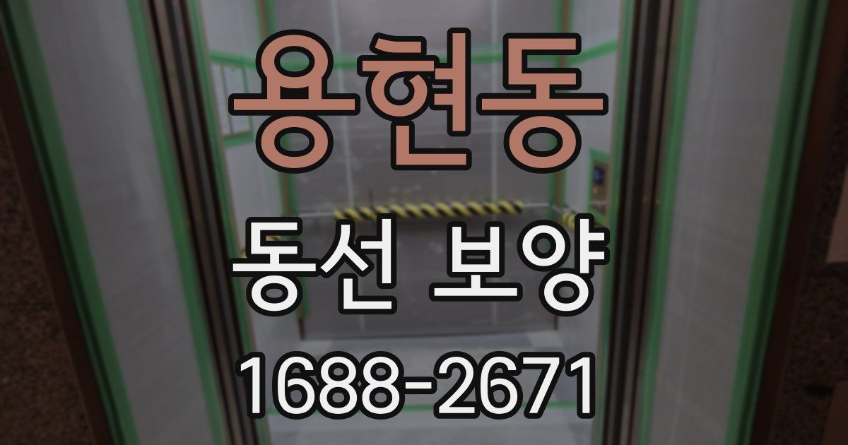 용현동 동선 보양