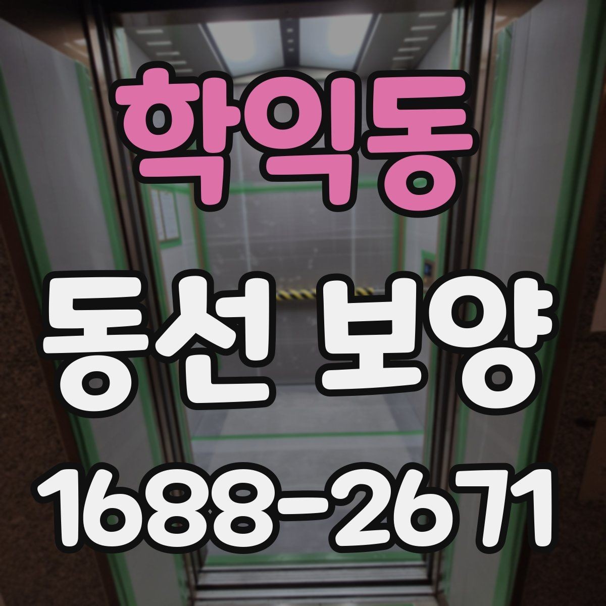 학익동 동선 보양 비용은 무엇에 따라 달라질까
