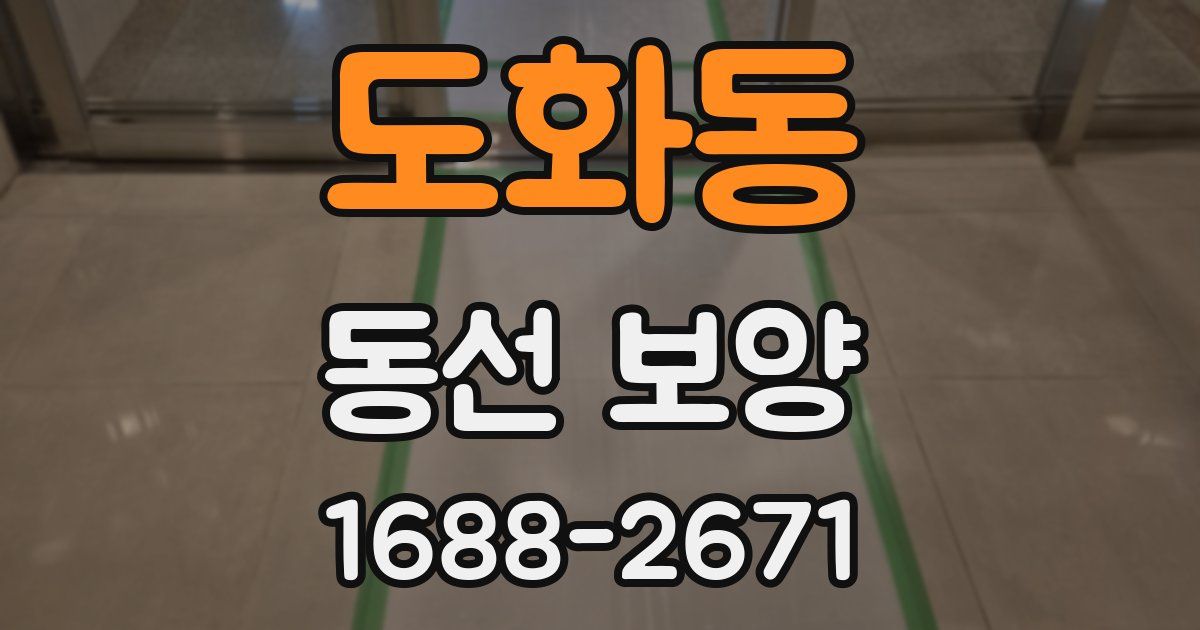 도화동 동선 보양