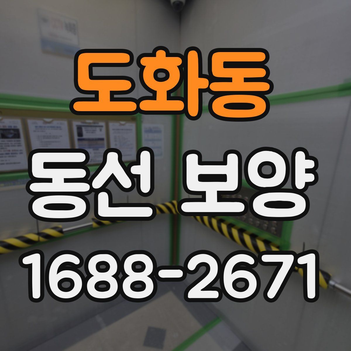 도화동 동선 보양