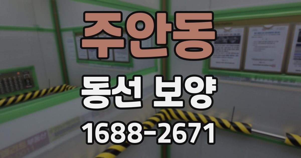 주안동 동선 보양