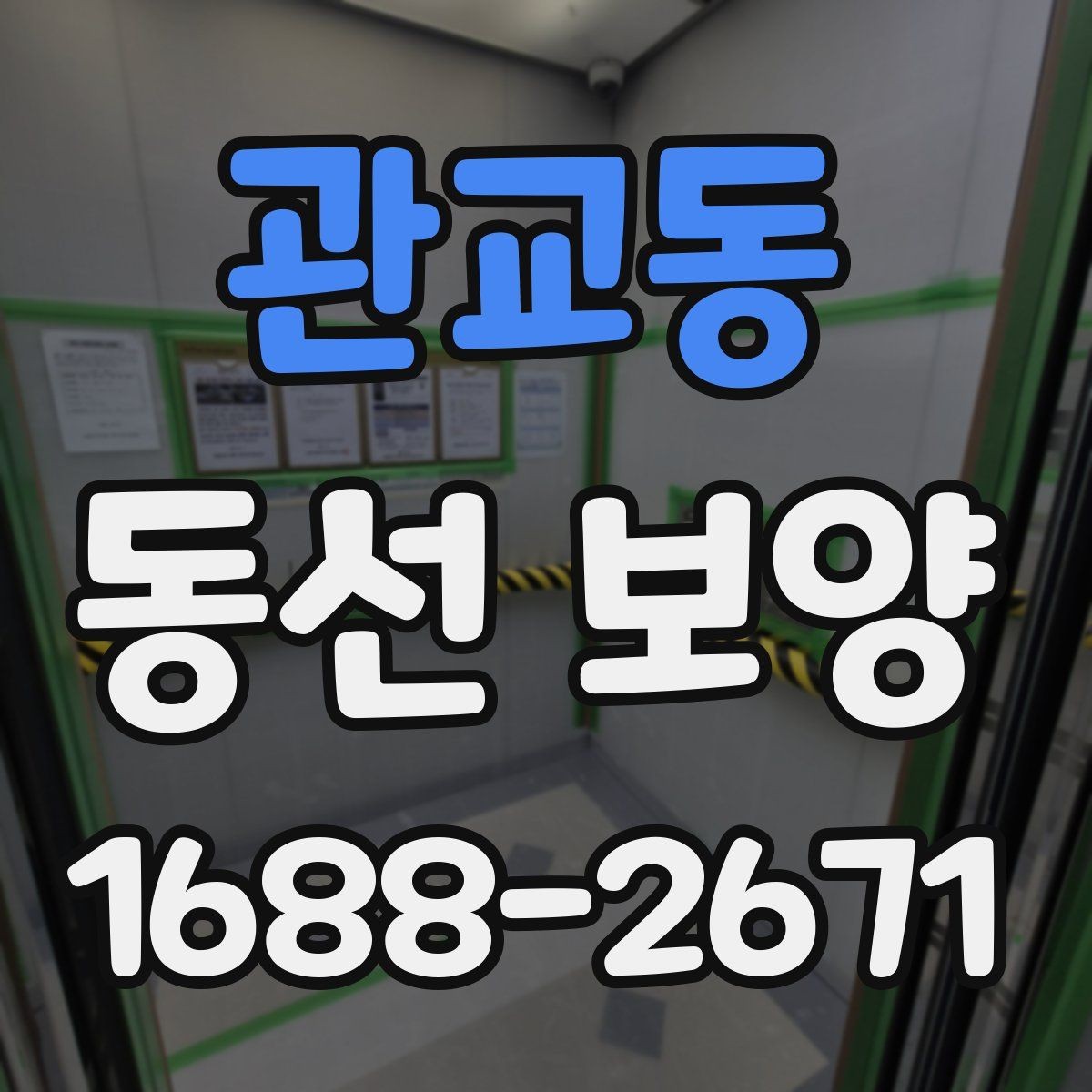 관교동 동선 보양 비용과 범위가 달라지는 상황