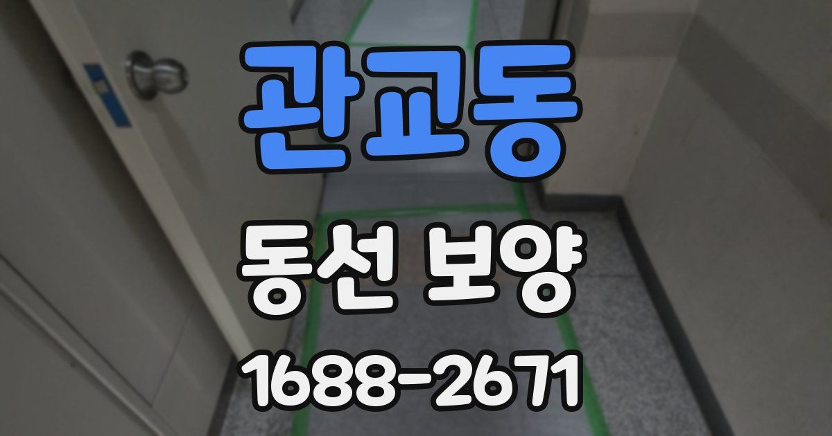 관교동 동선 보양