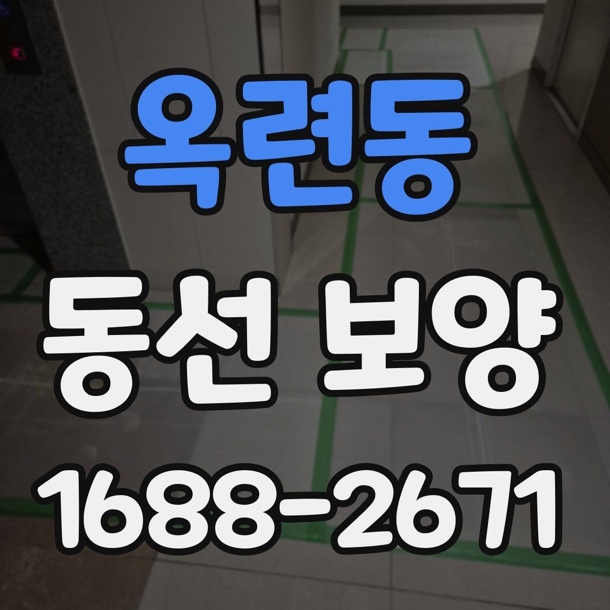 옥련동 동선 보양 적용 범위를 정하는 실무 기준