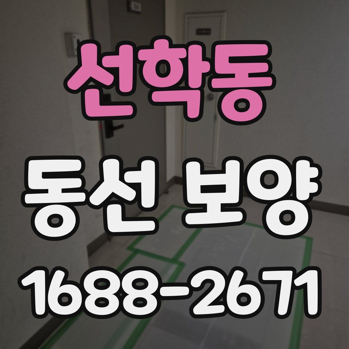 선학동 동선 보양 작업 전 정리해야 할 사항들
