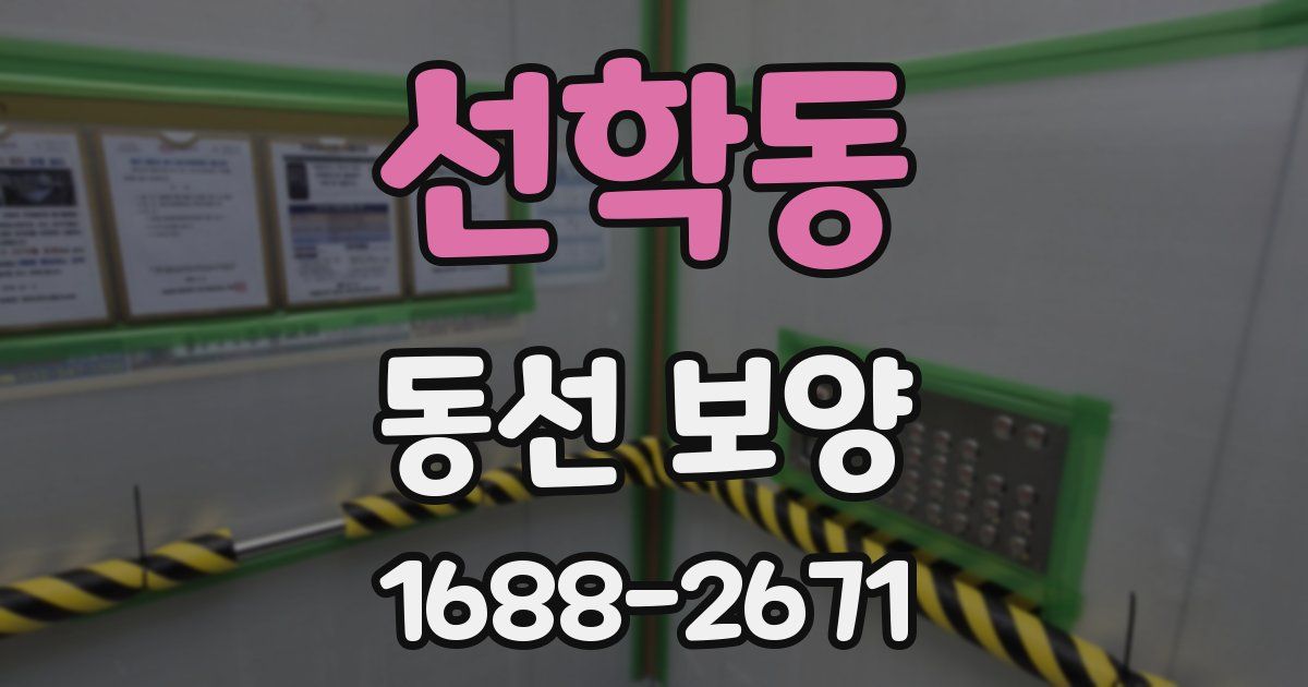선학동 동선 보양
