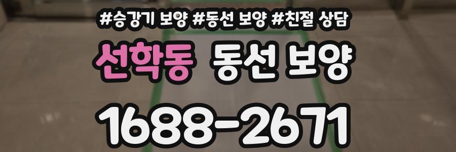 선학동 동선 보양
