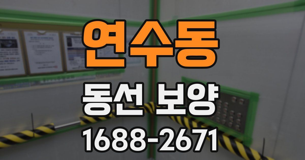 연수동 동선 보양