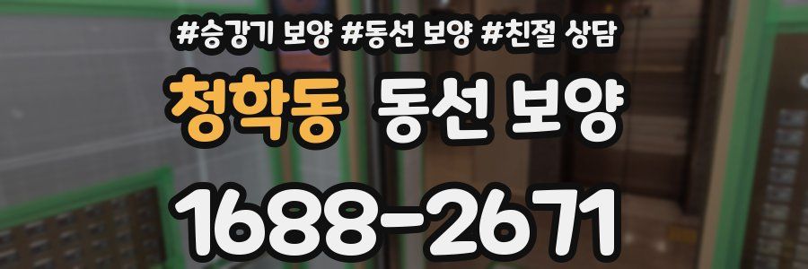 청학동 동선 보양