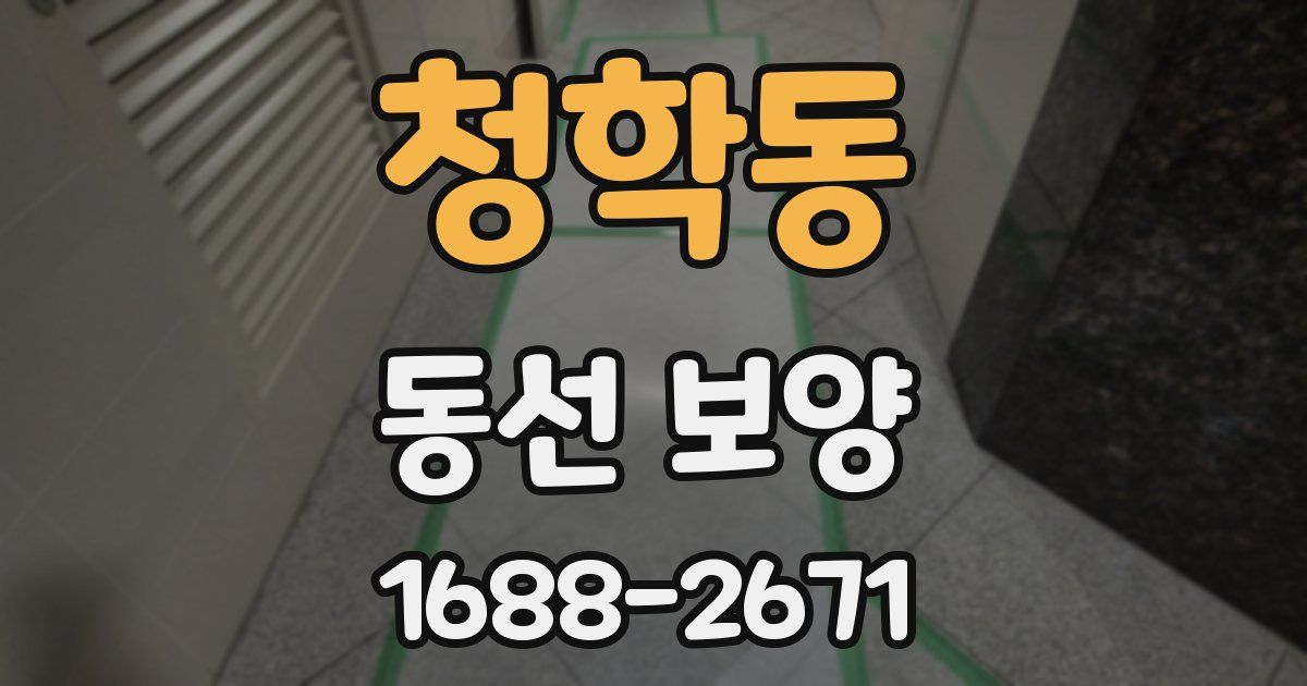 청학동 동선 보양
