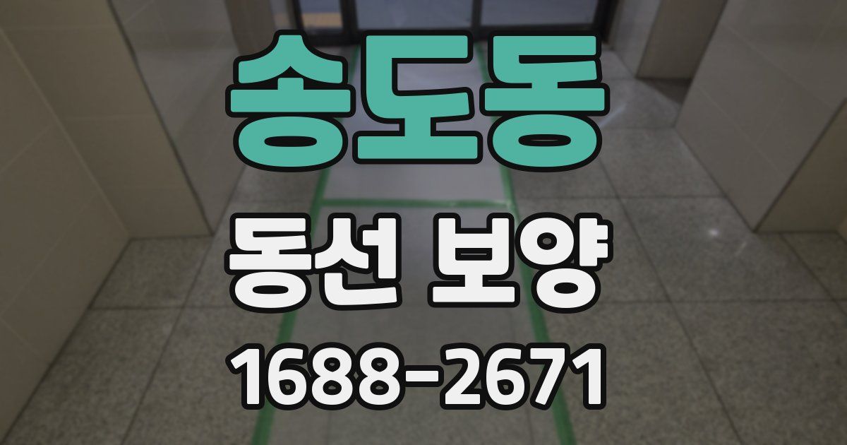송도동 동선 보양