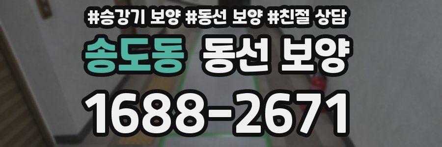 송도동 동선 보양