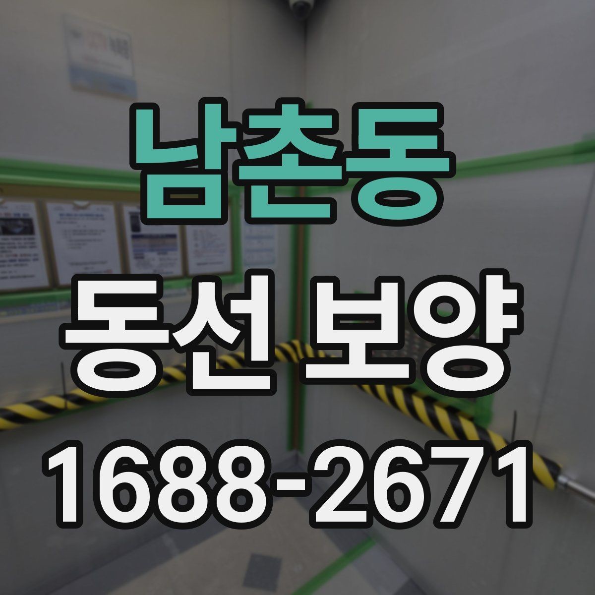 남촌동 동선 보양 작업 전후 비교로 보는 변화