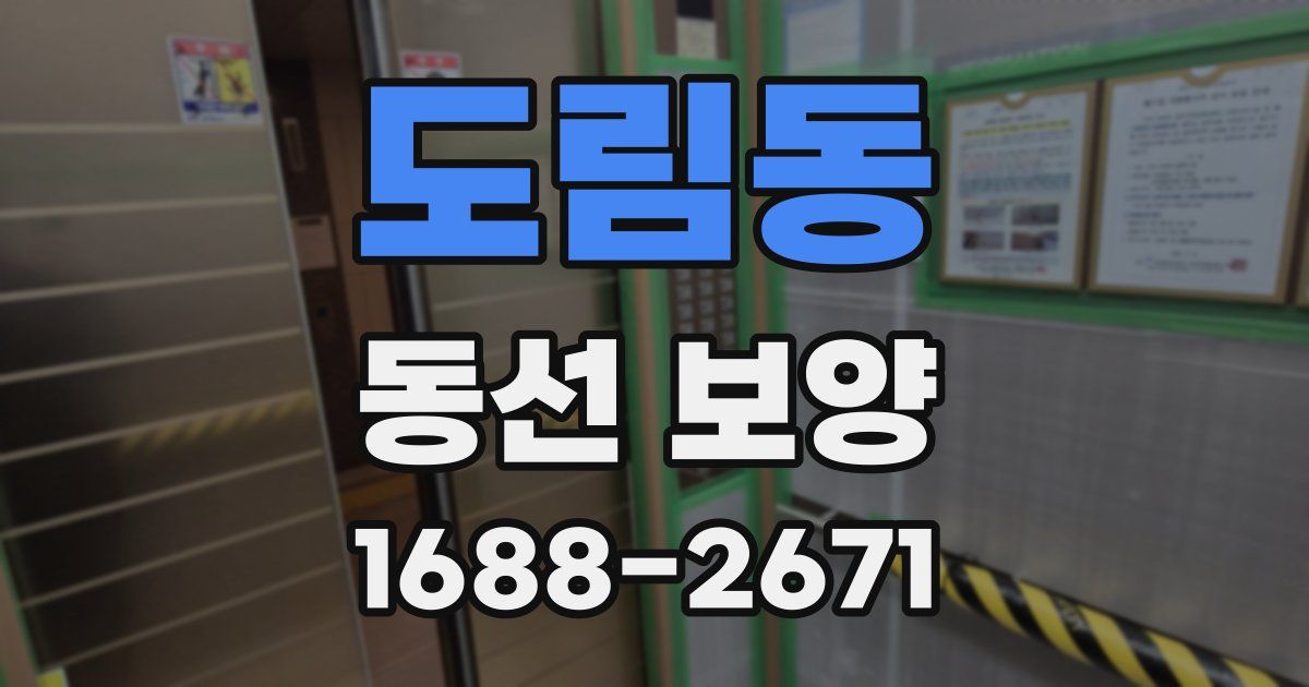 도림동 동선 보양