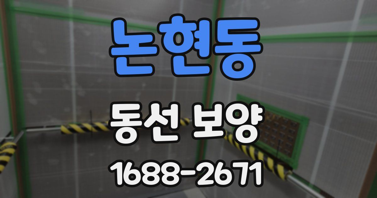 논현동 동선 보양