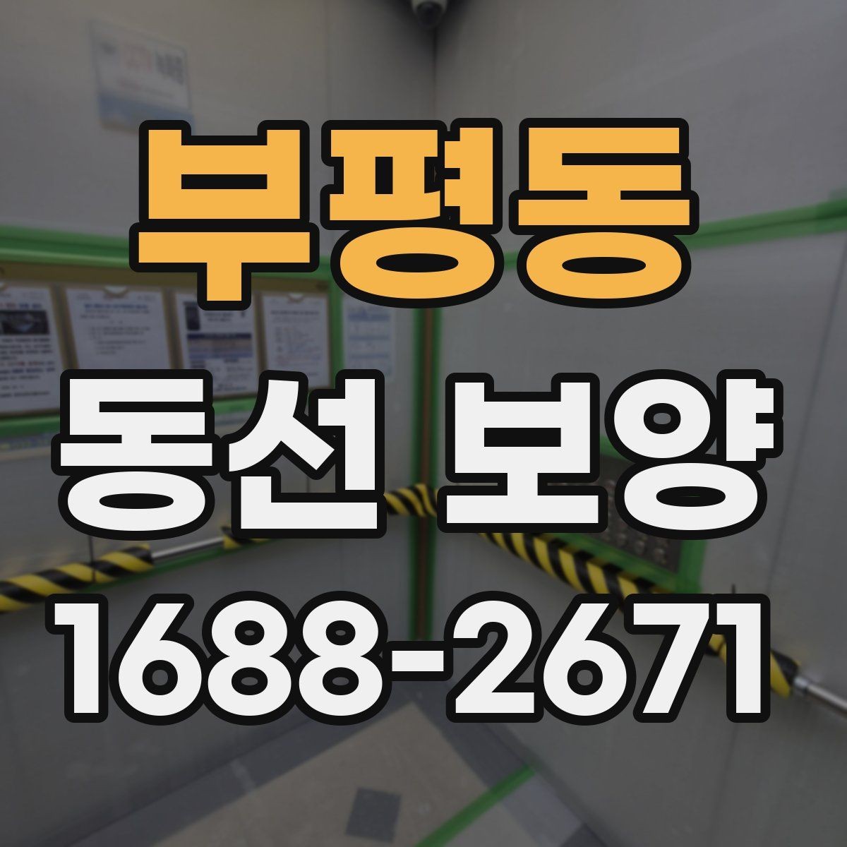 부평동 동선 보양 비교 시 살펴봐야 할 차이점
