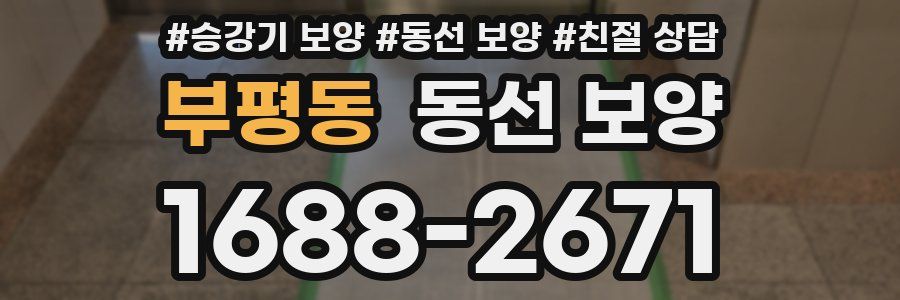 부평동 동선 보양
