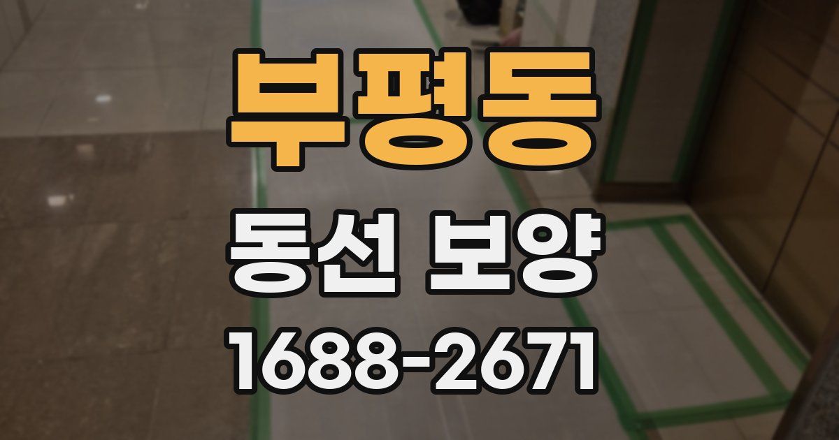 부평동 동선 보양