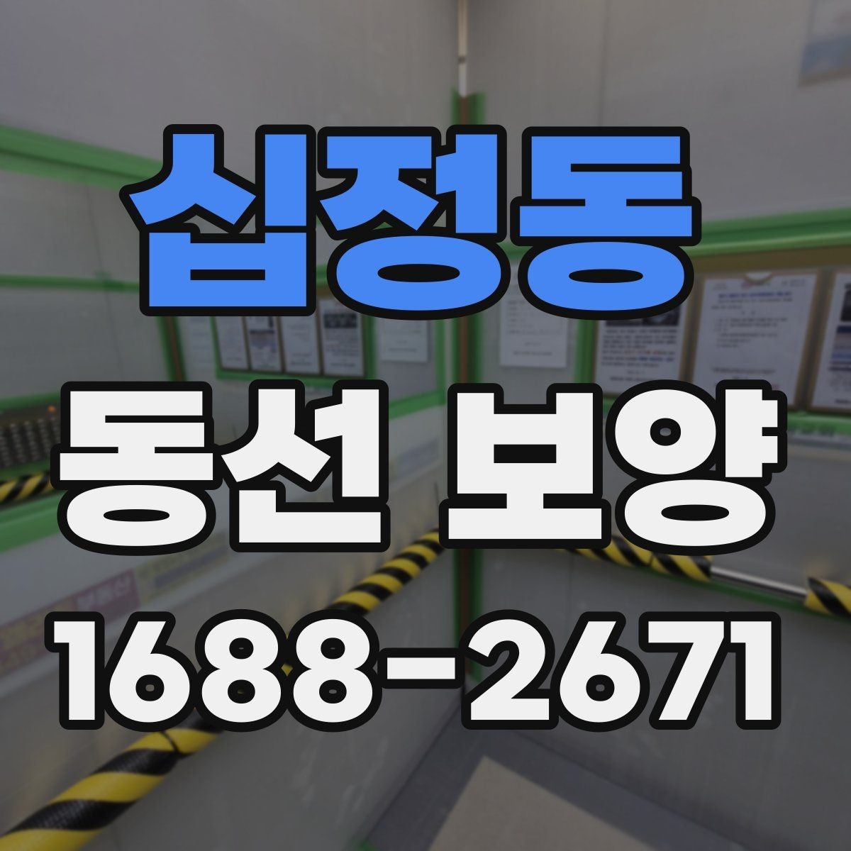 십정동 동선 보양 작업 전 꼭 확인할 점