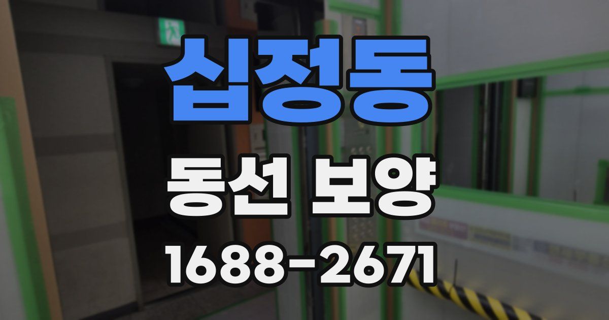 십정동 동선 보양