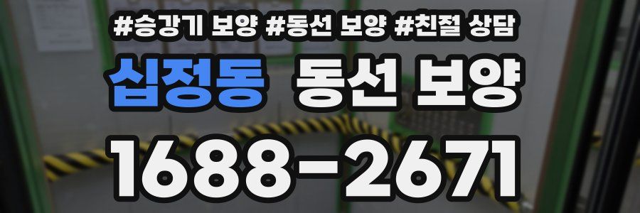 십정동 동선 보양
