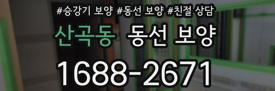 산곡동 동선 보양