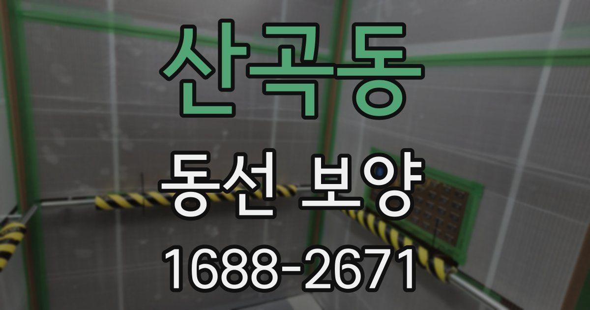 산곡동 동선 보양