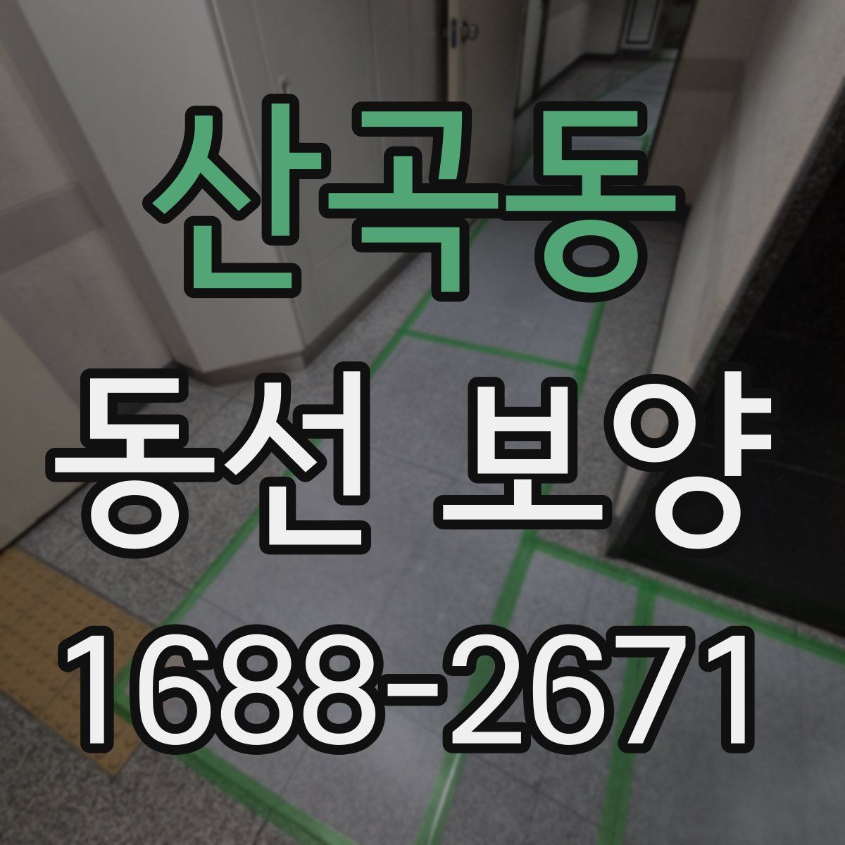 산곡동 동선 보양
