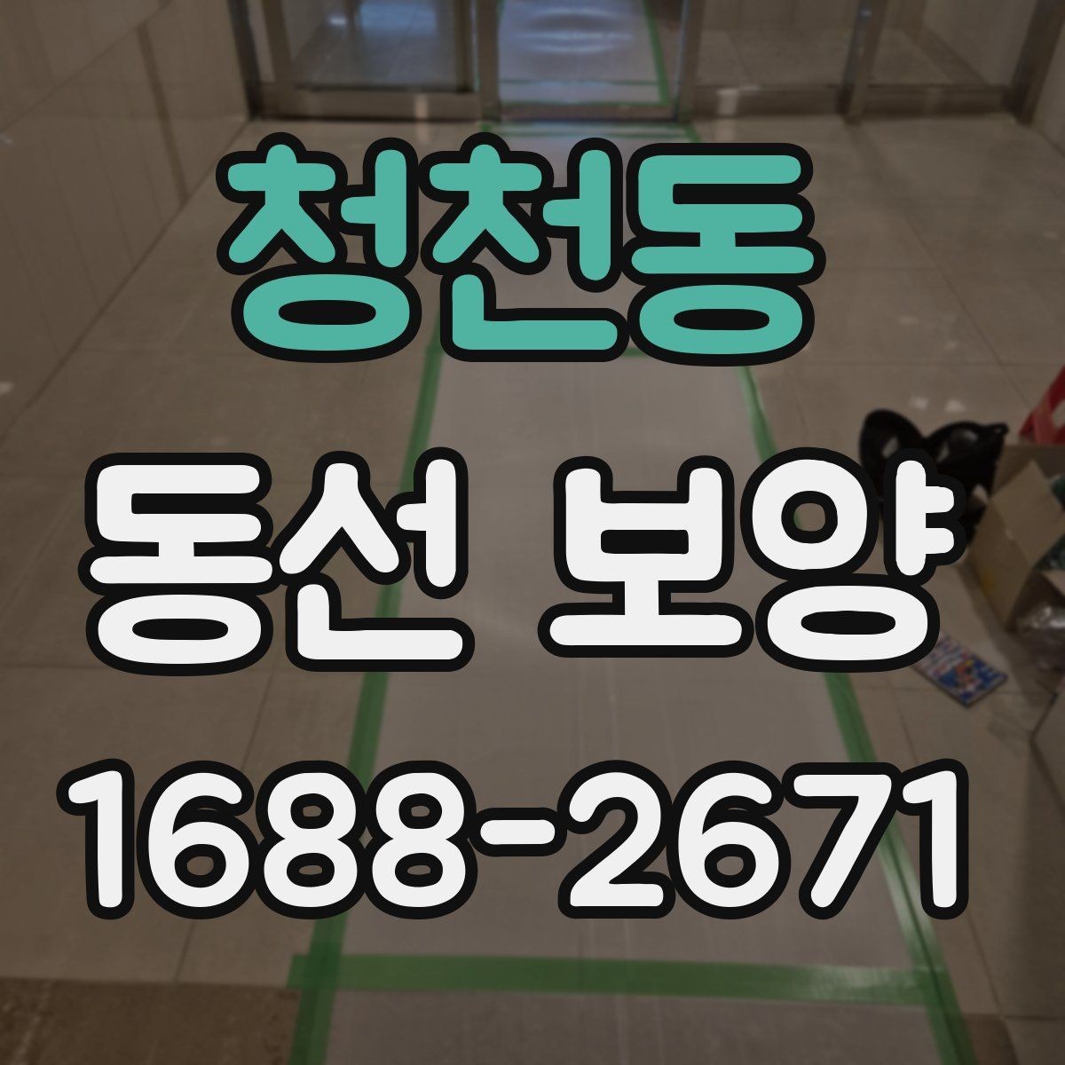 청천동 동선 보양 비교 시 살펴봐야 할 차이점