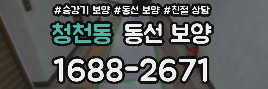 청천동 동선 보양