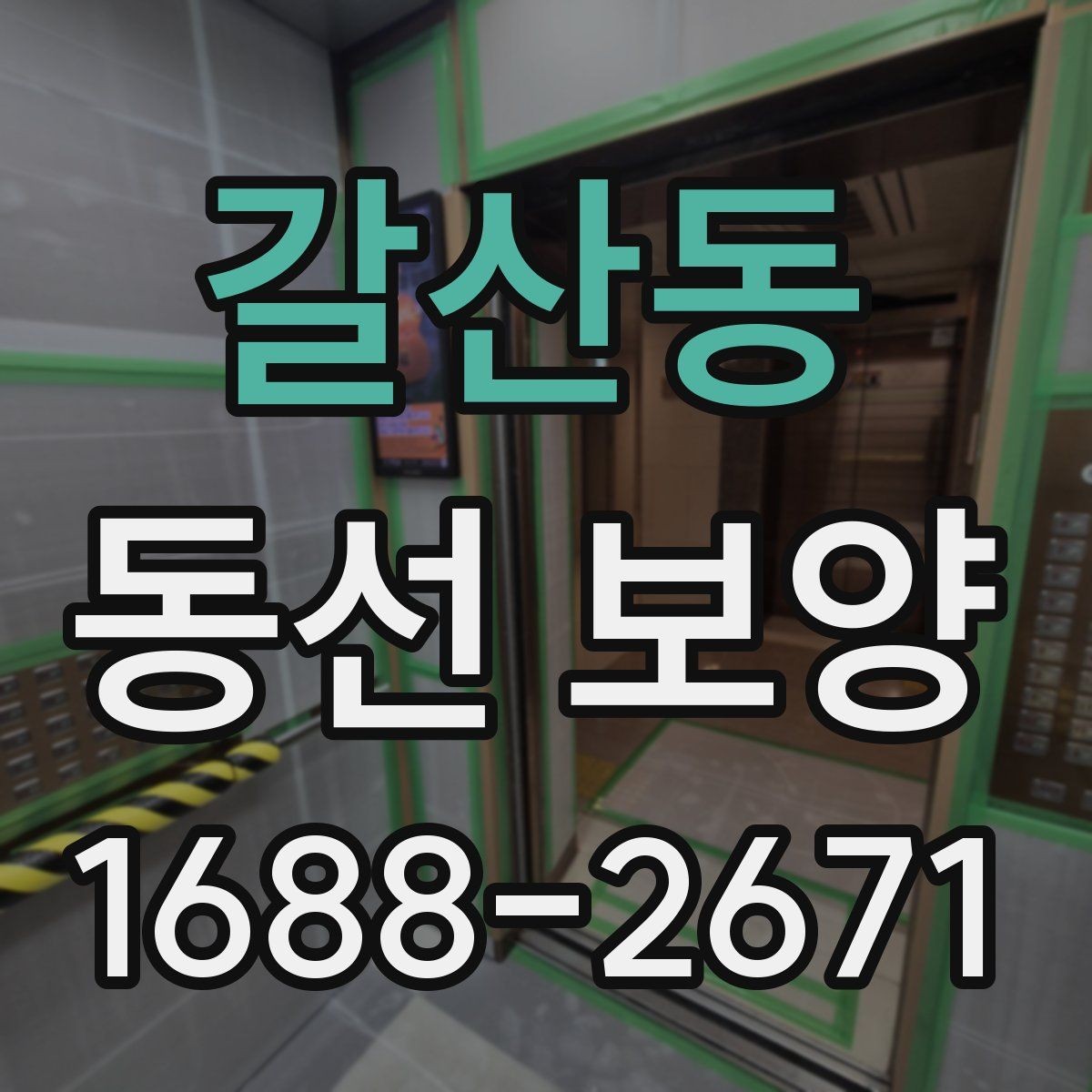 갈산동 동선 보양 과정에서 생길 수 있는 문제와 대응