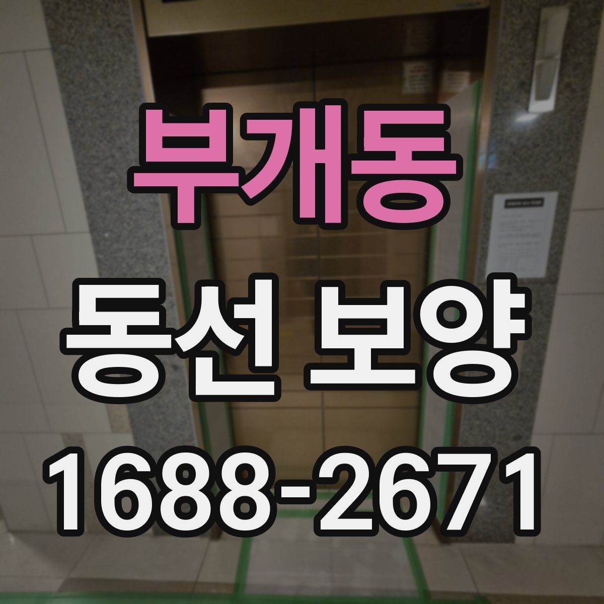 부개동 동선 보양 비용을 절감할 때 주의할 점