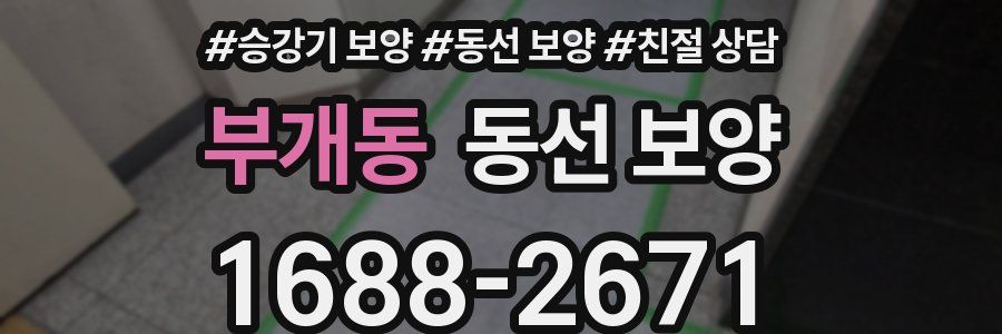 부개동 동선 보양
