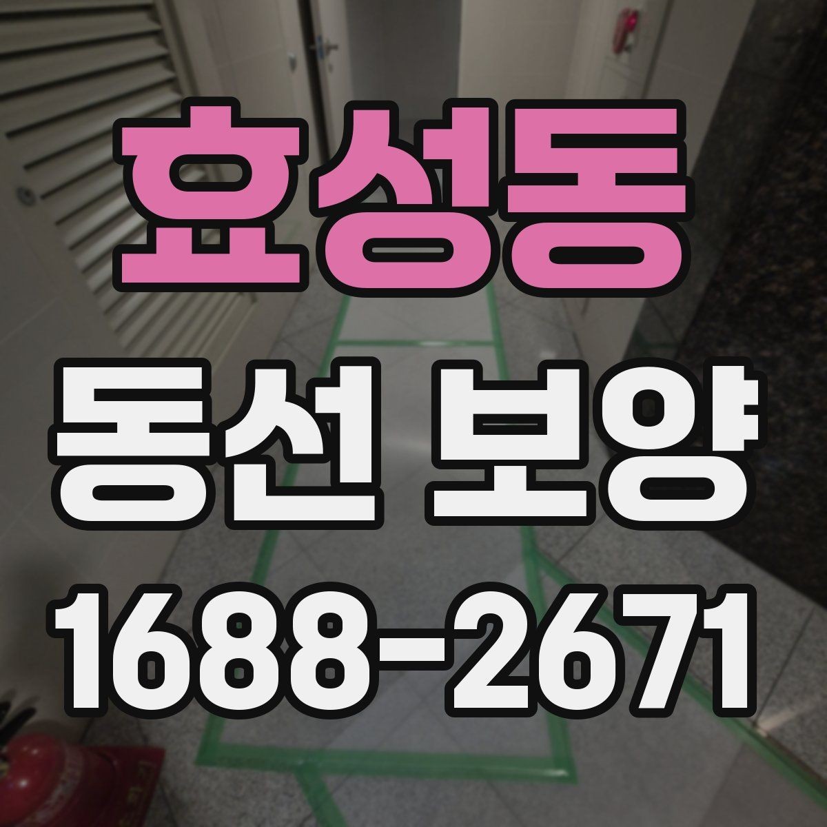 효성동 동선 보양 자재 고를 때 보는 핵심 포인트