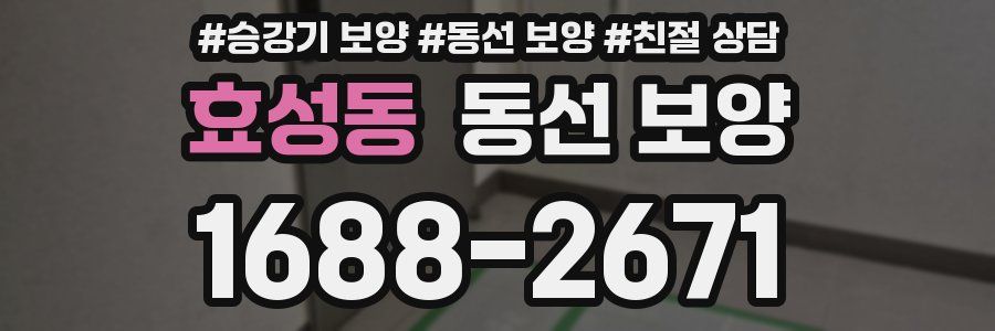 효성동 동선 보양