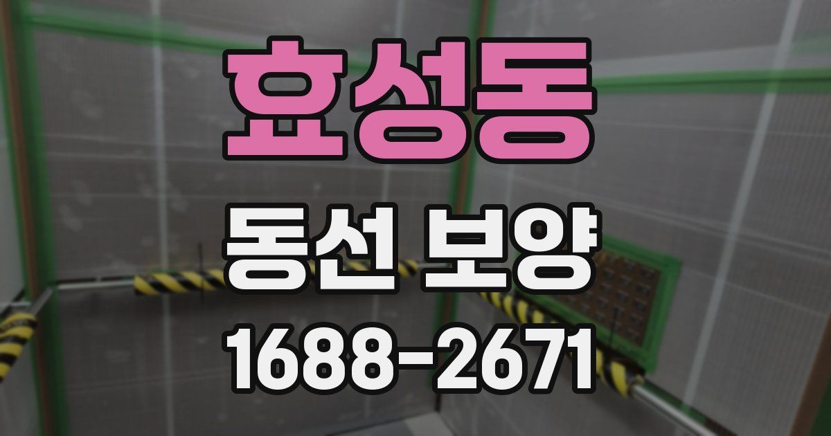 효성동 동선 보양