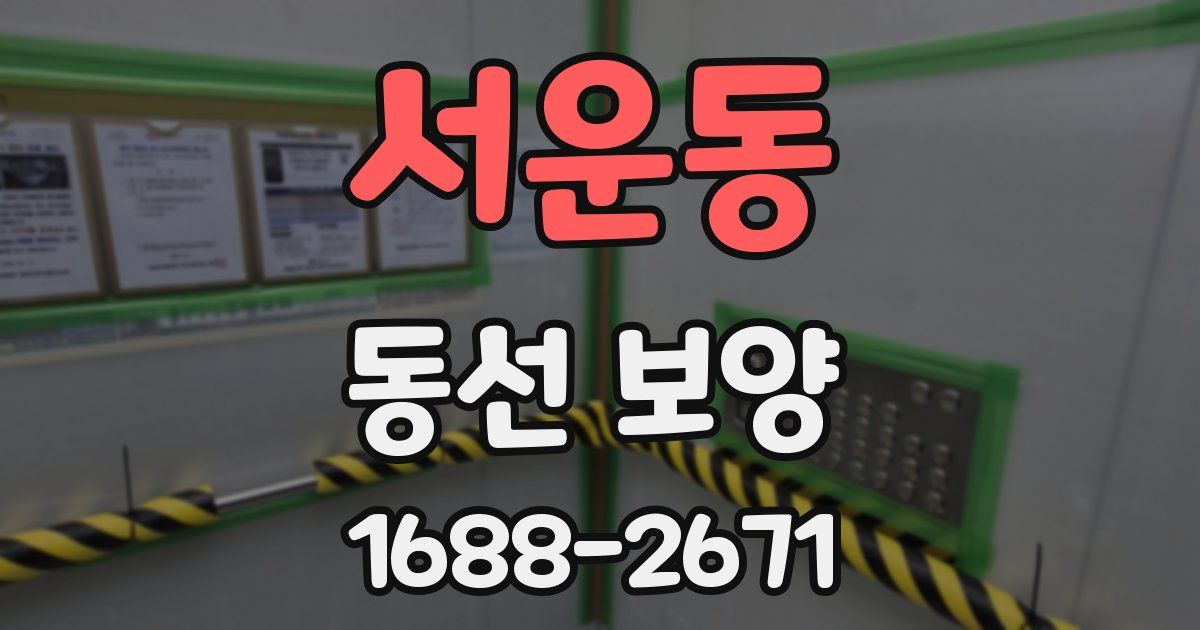 서운동 동선 보양