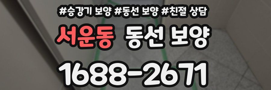 서운동 동선 보양
